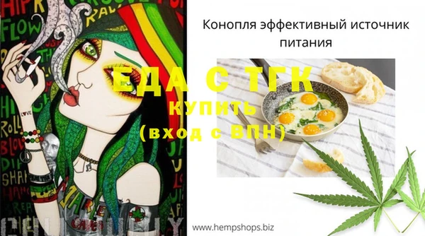 первитин Инсар